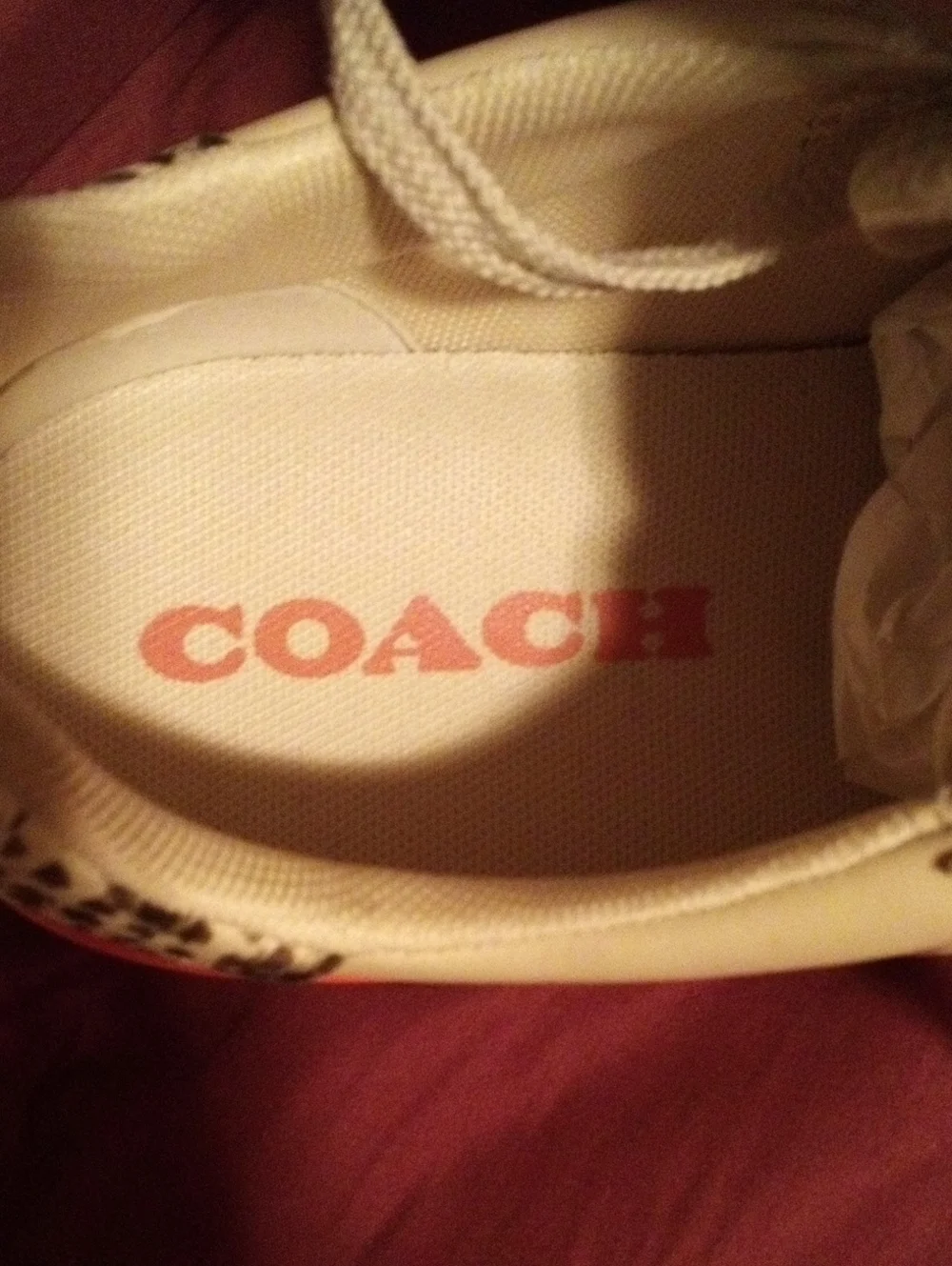 Coach X Jean-Michel Basquiat Famous Sneakers Limited Edition Like New